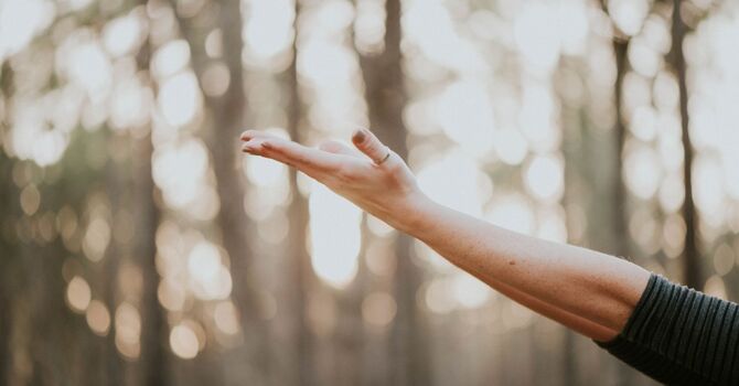 Injectables-In Studio